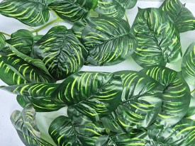 Guia hojas grandes verdes oscuro